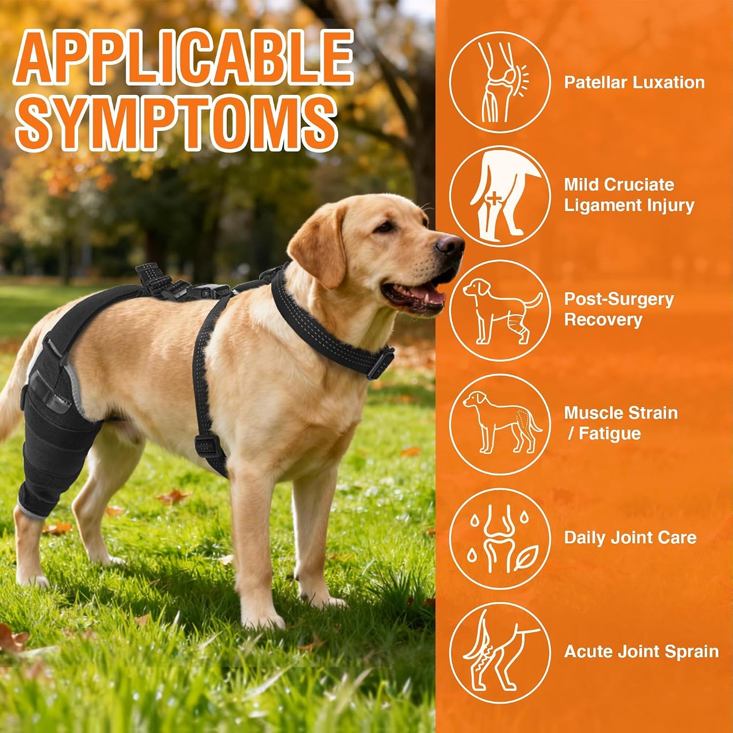 Dog Hind Leg ACL Brace – Adjustable Support with Hot & Cold Gel Pack for Arthritis & Joint Pain