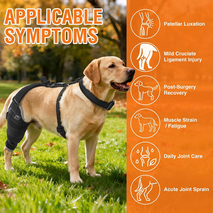 Dog Hind Leg ACL Brace – Adjustable Support with Hot & Cold Gel Pack for Arthritis & Joint Pain